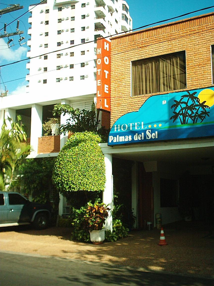Hotel Palmas Del Sol Asunción Eksteriør billede